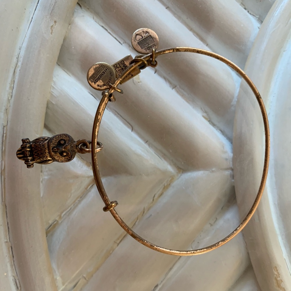 Gold Owl Alex & Ani Bracelet
